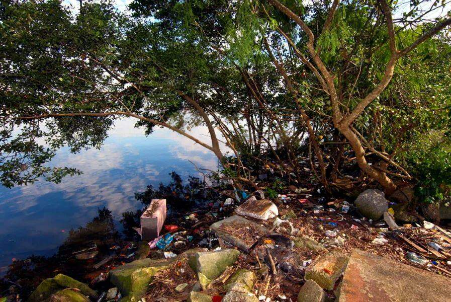 Atores Portugueses Que Morreram Em 2017 12 Famosos Que Morreram Em 2018 Youtube