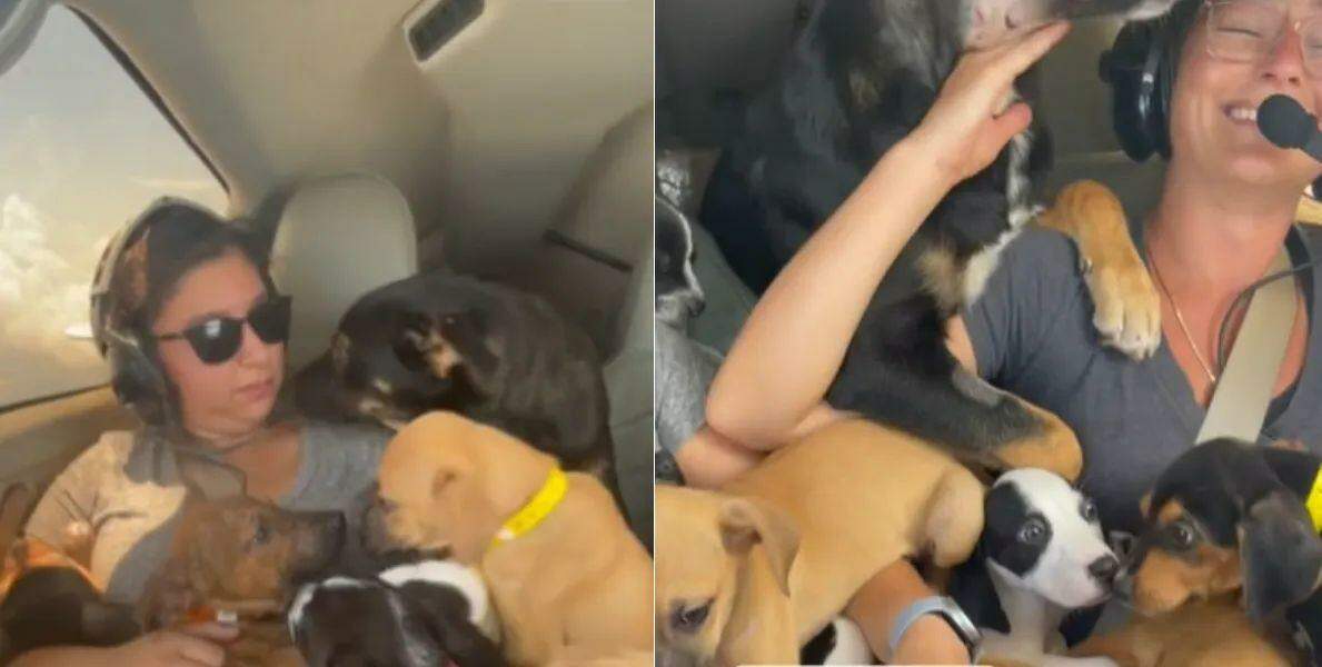 RONDON, Rodolfo. Vendedor de frutas.