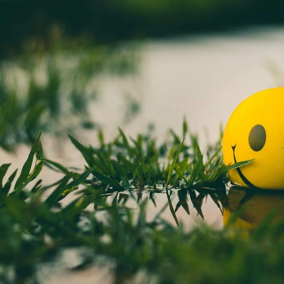  Relação entre Sol e Júpiter indica sorte e prosperidade 