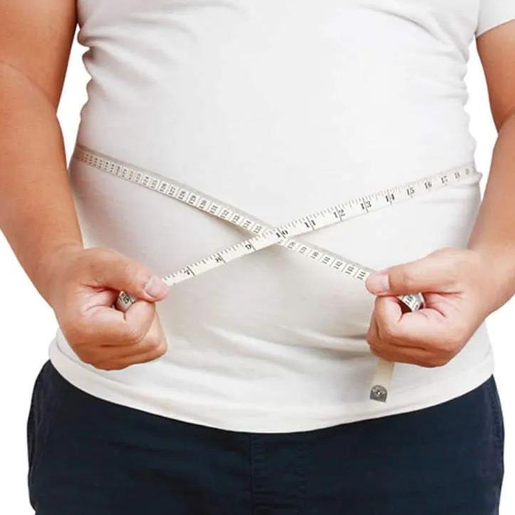 Serviço será gratuito e contará com acompanhamento de profissionais