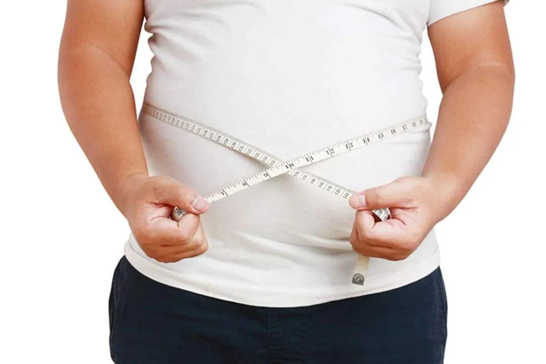 Serviço será gratuito e contará com acompanhamento de profissionais