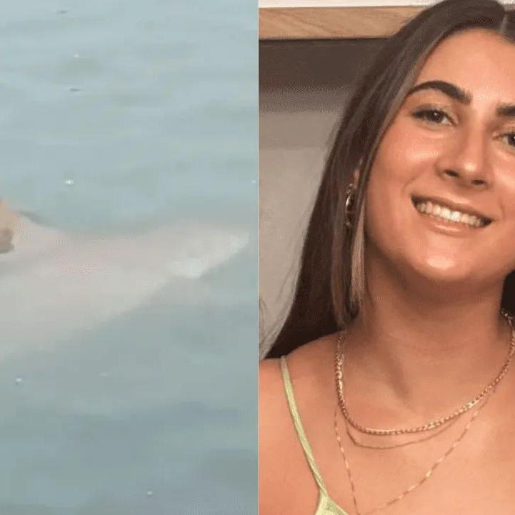 Adolescente é morta por tubarão enquanto nadava com golfinhos