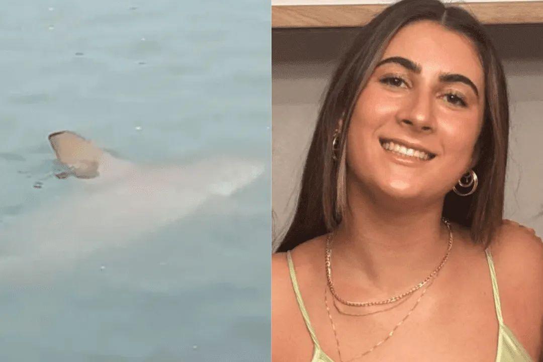 Adolescente é morta por tubarão enquanto nadava com golfinhos