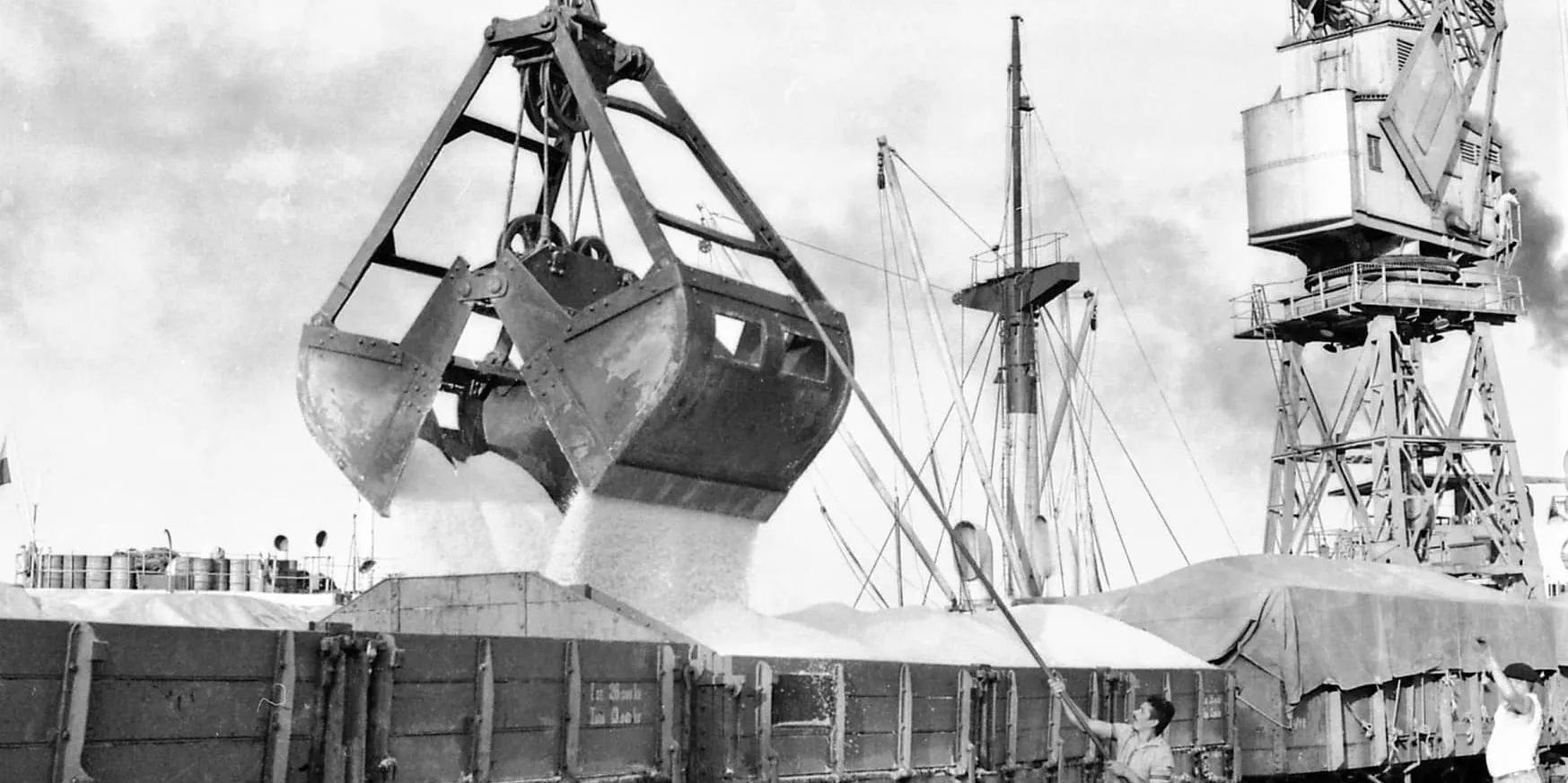 No mar, tanto dano. Na terra, tanto engano