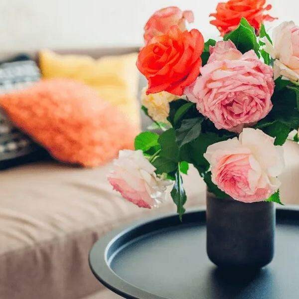  Plantas, velas perfumadas e difusores complementam o clima 