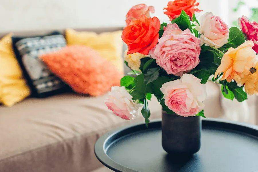  Plantas, velas perfumadas e difusores complementam o clima 