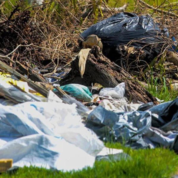 A equipe atuou por 14 dias, nas 47 ruas do Bairro