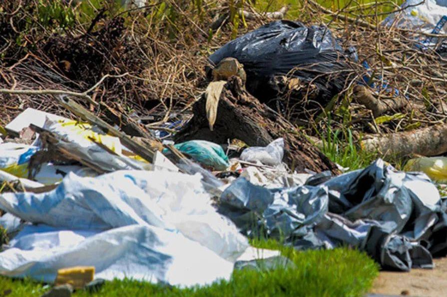 A equipe atuou por 14 dias, nas 47 ruas do Bairro