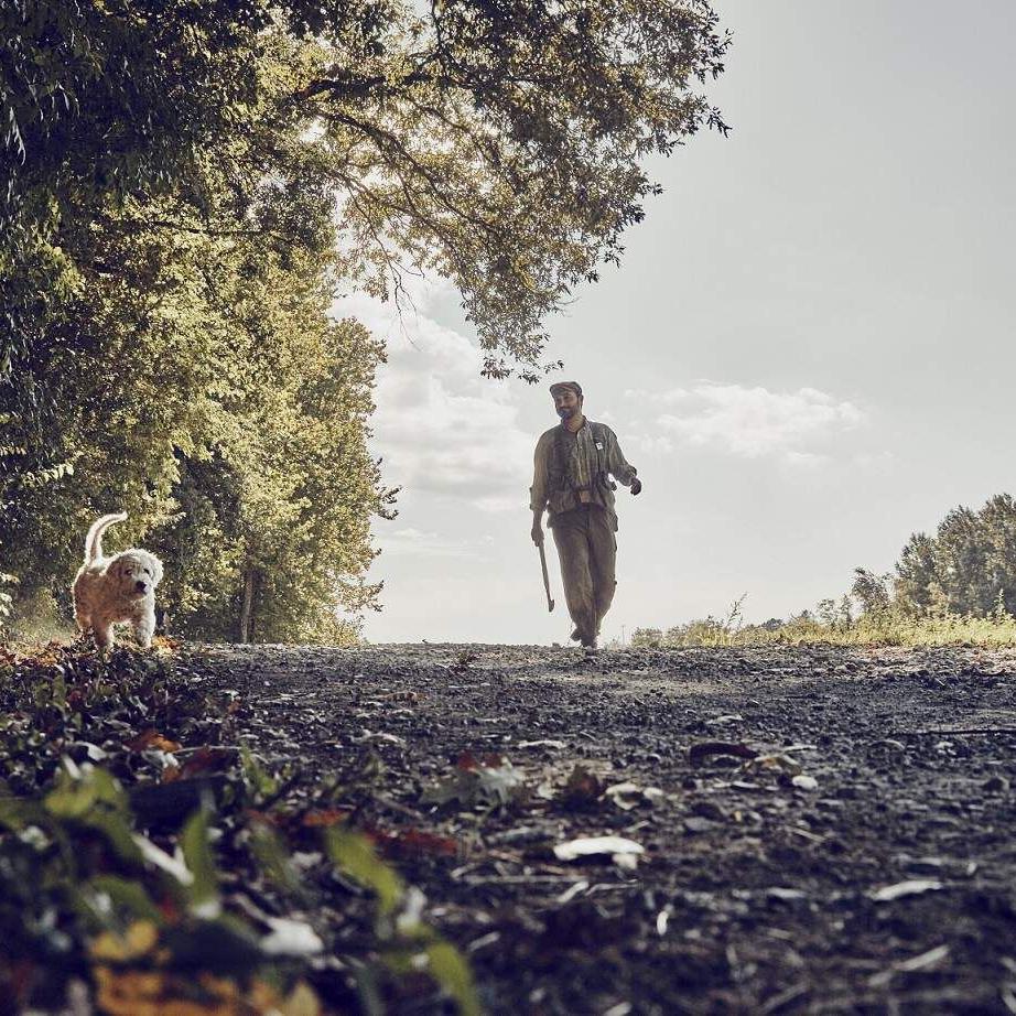 A verdadeira caça às trufas na Toscana. E com muito glamour