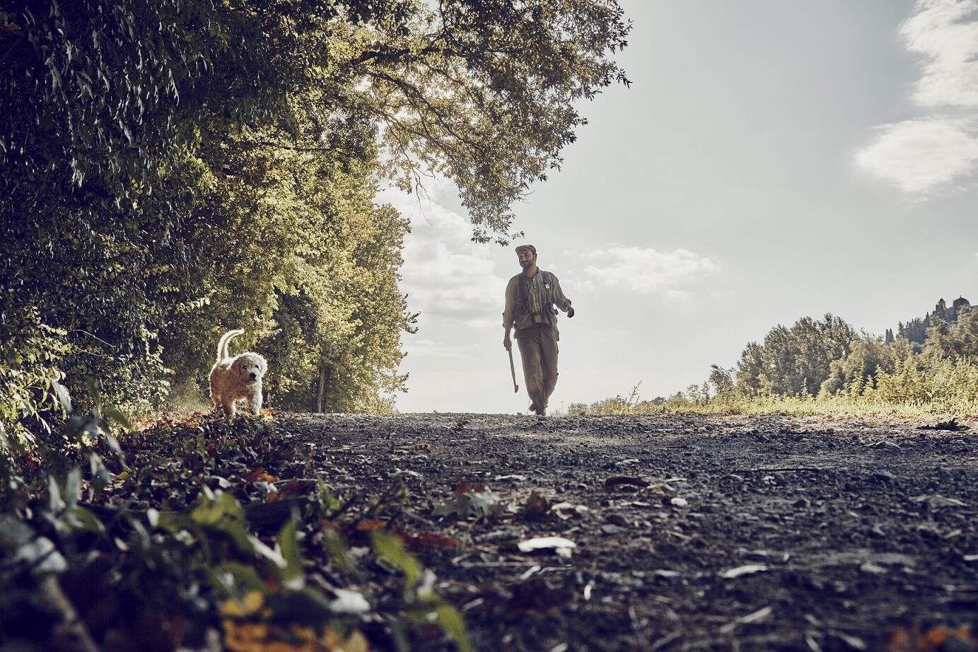 A verdadeira caça às trufas na Toscana. E com muito glamour