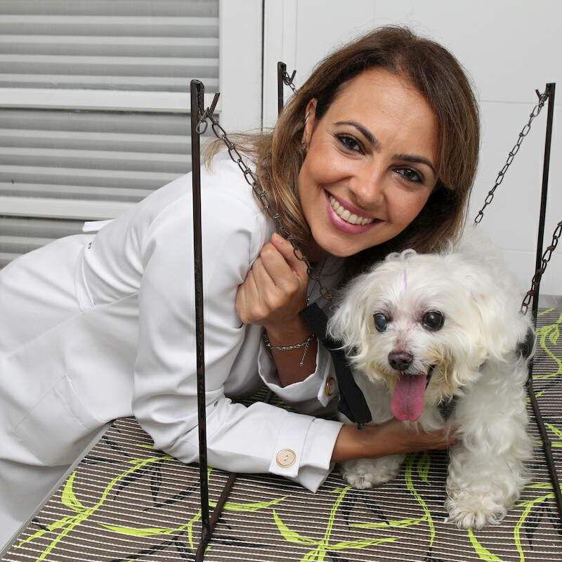 Tratamentos alternativos para bichos de estimação estão cada vez mais comuns