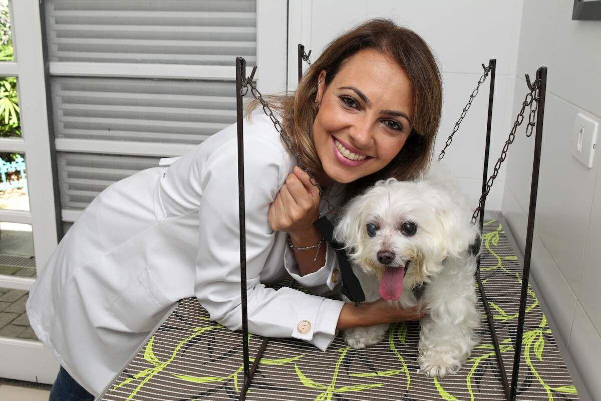 Tratamentos alternativos para bichos de estimação estão cada vez mais comuns