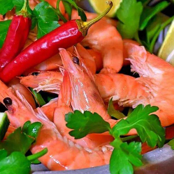   Rosa, pistola, cinza e sete-barbas são as espécies de camarão mais comuns no Brasil  