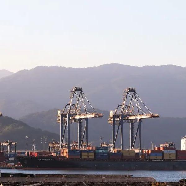 Ports show a mismatch between the timelines of public administration and market needs