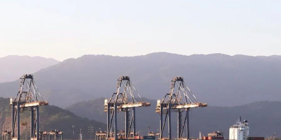 Ports show a mismatch between the timelines of public administration and market needs