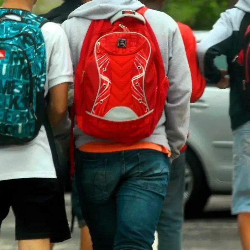 A necessidade de trabalhar é o principal motivo (47%) para interrupção dos estudos.