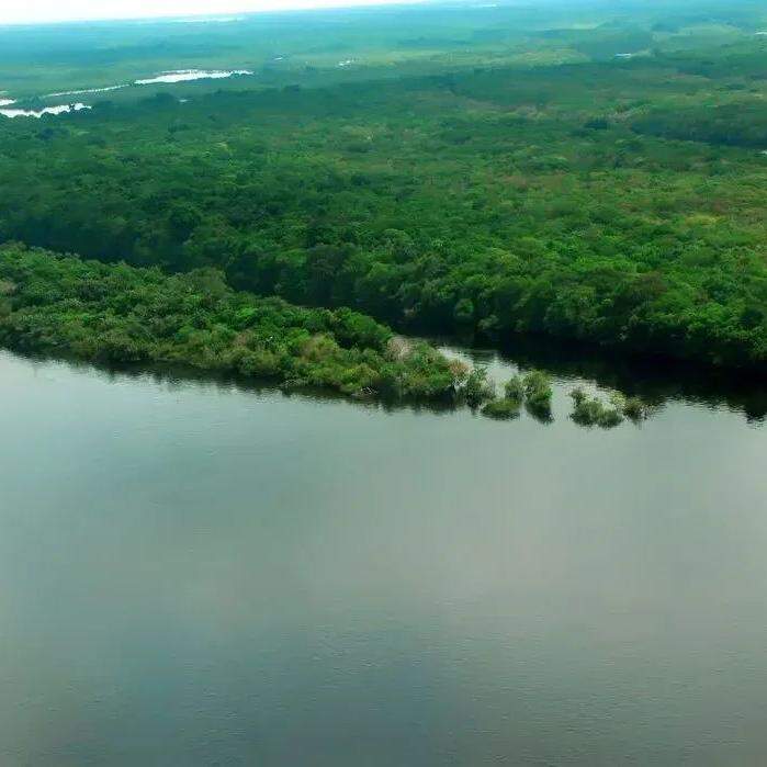 Os adolescentes precisam conhecer a Amazônia