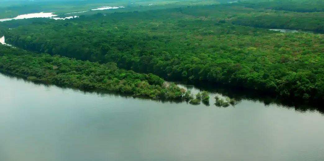 Os adolescentes precisam conhecer a Amazônia