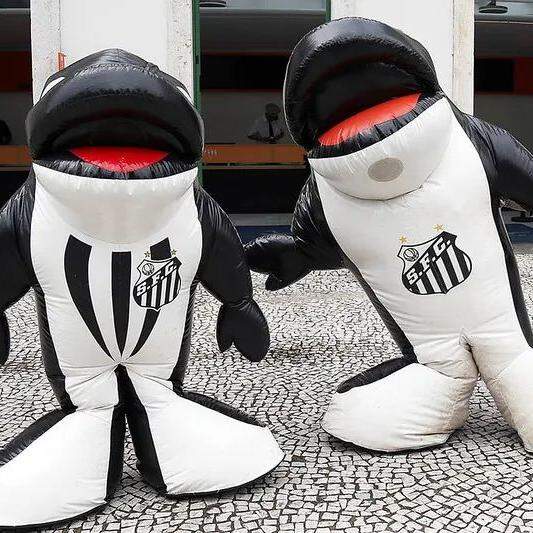 O Santos transformou a baleia em um elemento infantil e de animação dos torcedores de todas as idades com a dupla Baleinha e Baleião, criada em 2006
