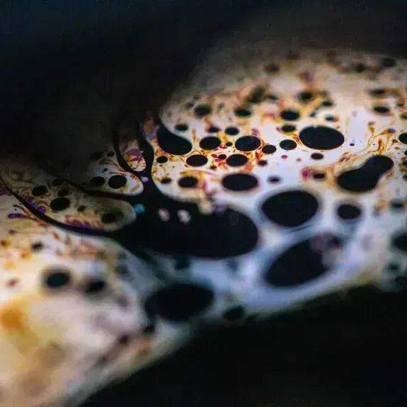 Desdobramentos do conflito