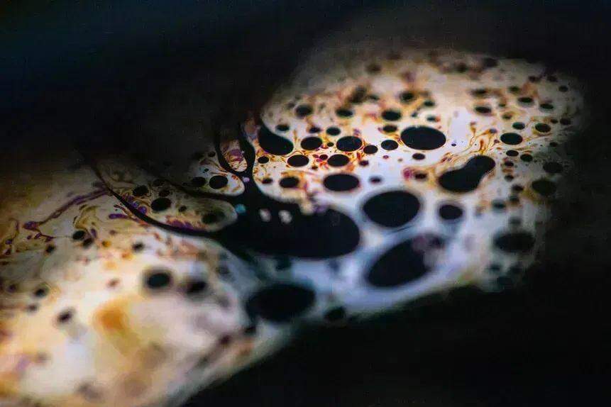 Desdobramentos do conflito