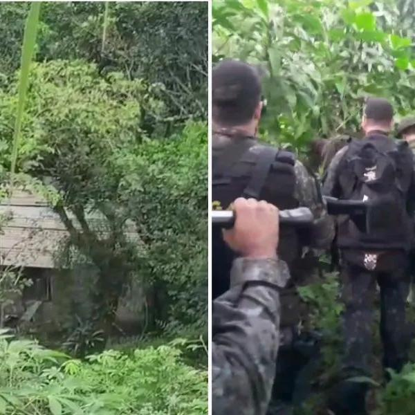 No total, dez propriedades foram destruídas