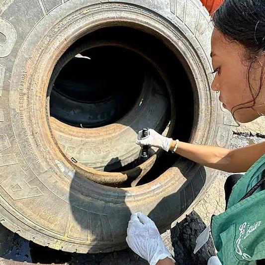 Ações tentam conter a proliferação do Aedes Aegypti