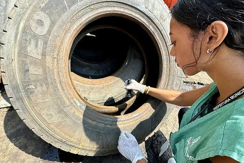 Ações tentam conter a proliferação do Aedes Aegypti