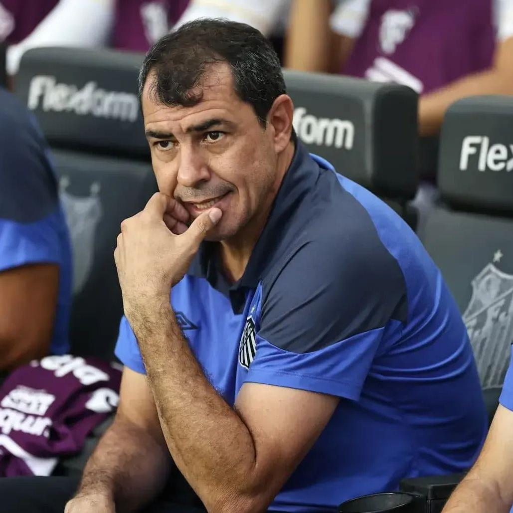 Carille admitiu que Santos poderia ter se reforçado melhor após o Paulistão