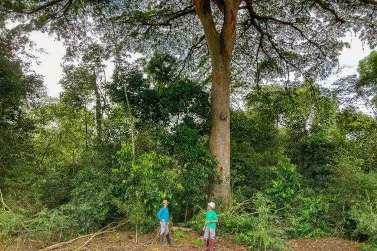 A pesquisadora Márcia Macedo e o pesquisador é Leonardo Santos. O impacto da agricultura no ciclo hídrico, na Fazenda Tanguro, em MT.