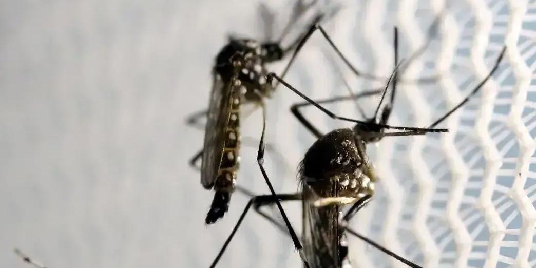 Segundo a Prefeitura, a queda resulta de iniciativas no verão, somadas às ações de rotina