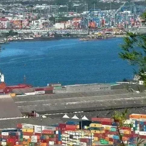 Porto de Santos movimenta 30,4% mais cargas em fevereiro; açúcar é destaque no período