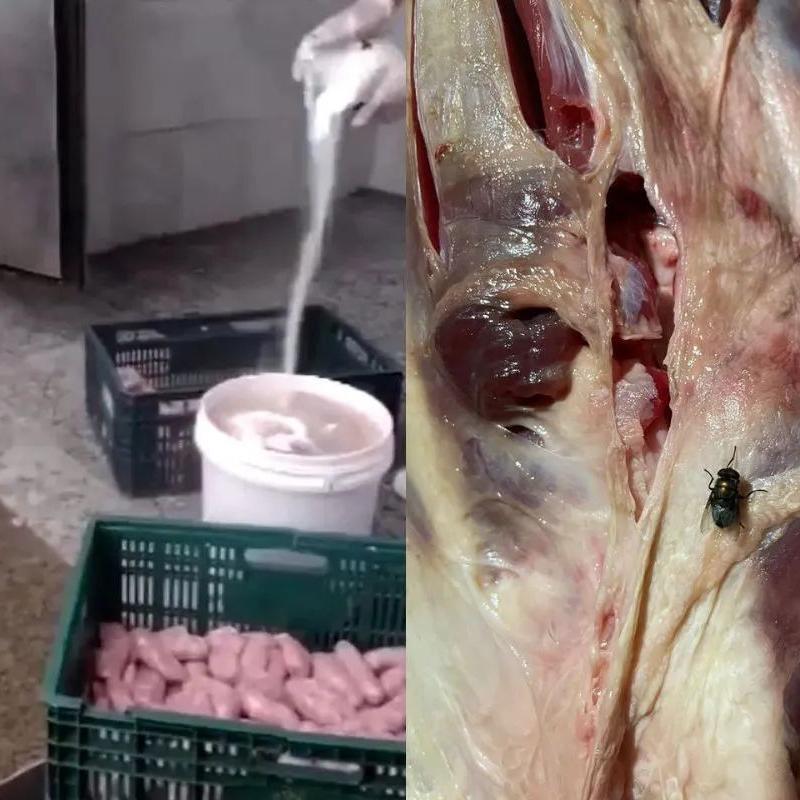 Rede do açougue interditado em Bertioga teve lojas fechadas em outras três cidades da região em dezembro pela Polícia Civil. Nos produtos das lojas fechadas, era possível ver larvas e moscas