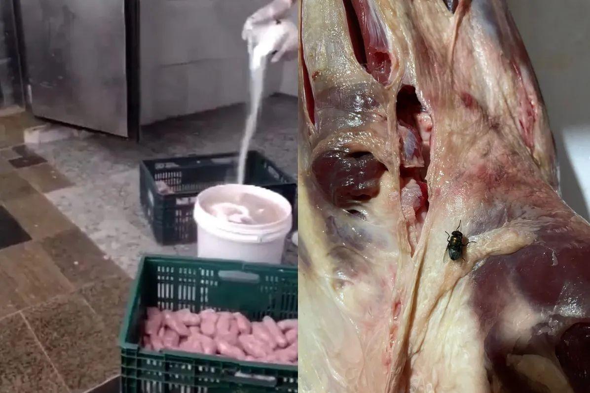 Rede do açougue interditado em Bertioga teve lojas fechadas em outras três cidades da região em dezembro pela Polícia Civil. Nos produtos das lojas fechadas, era possível ver larvas e moscas