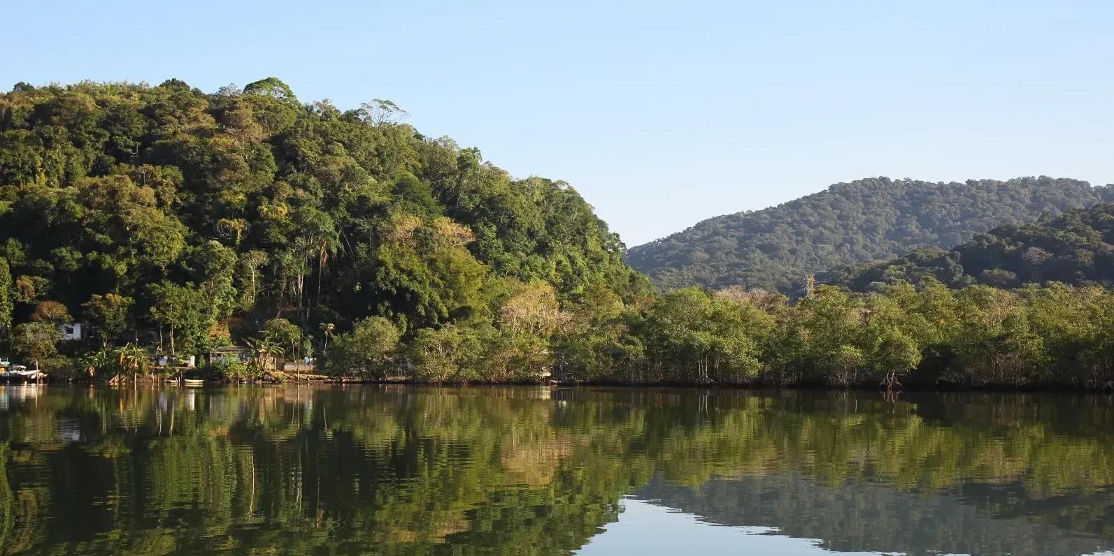 Vanessa Rodrigues/AT