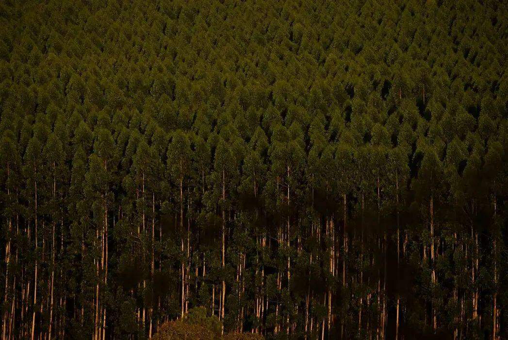 A aprovação em plenário ocorreu horas após a aprovação de caráter de urgência para apreciação do tema