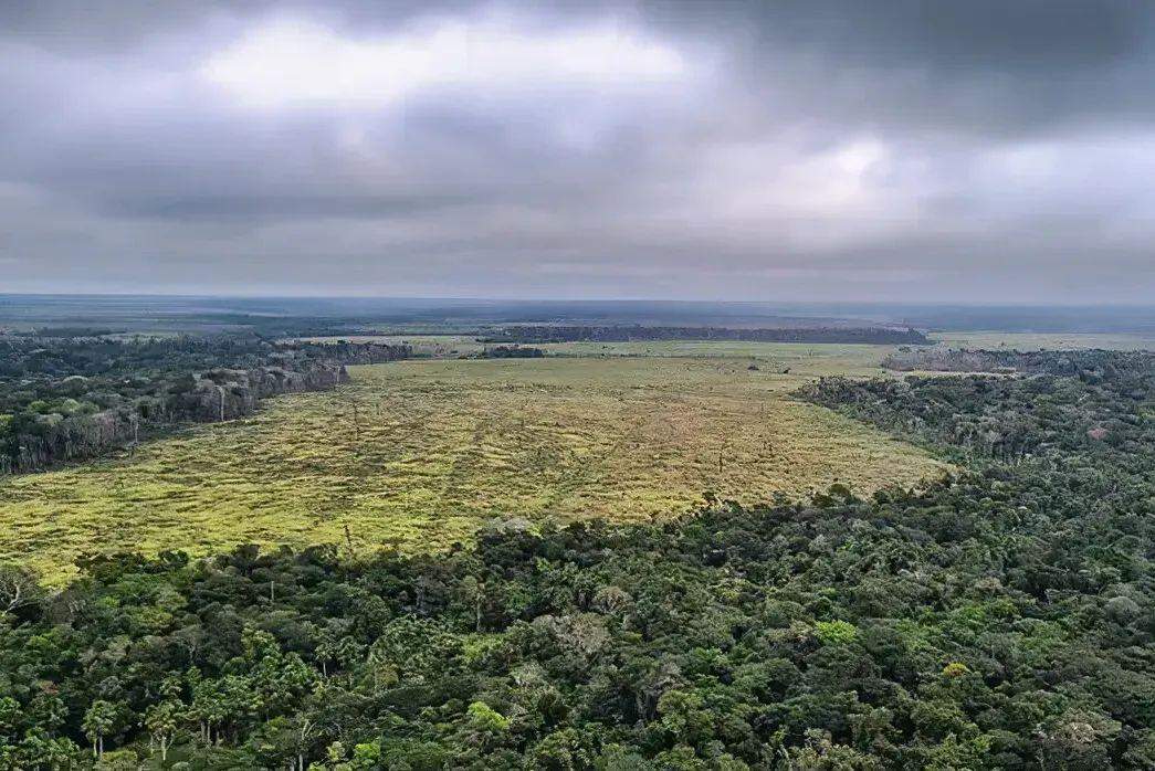 Para a ministra do Meio Ambiente e Mudança do Clima, Marina Silva, os resultados positivos são resultado da relevância dada à política setorial pelo governo federal