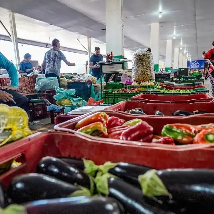 Levantamento foi divulgado nesta segunda-feira (20)