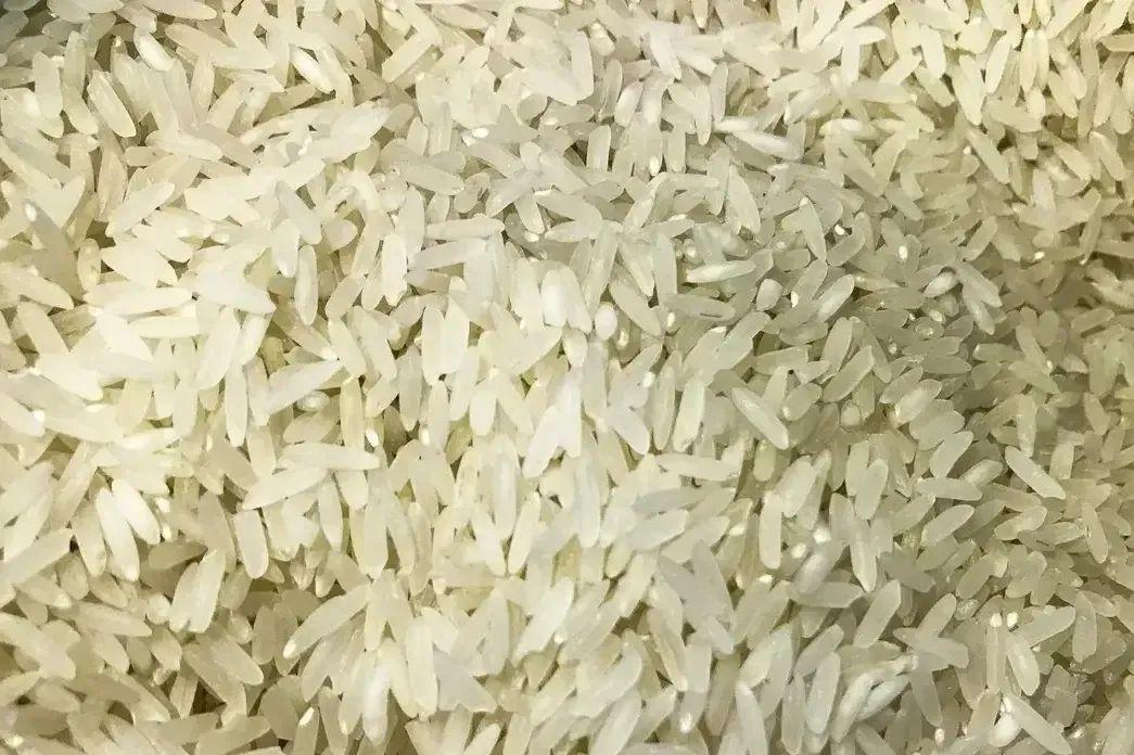 Edital foi anulado por suspeita de irregularidades e passará por uma revisão