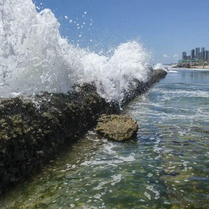 Os humores do mar