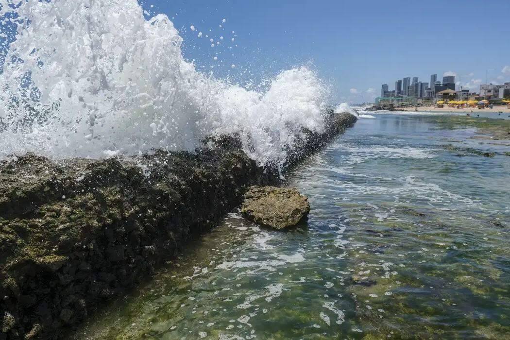 Os humores do mar