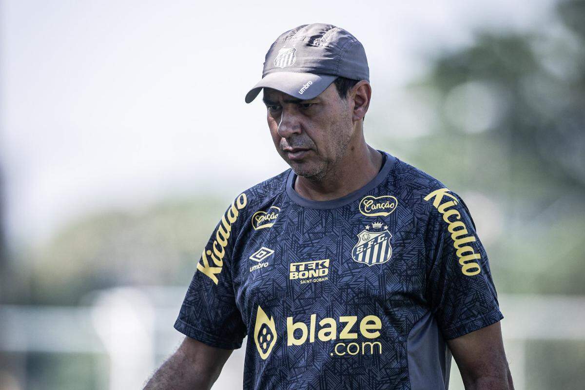 Carille, Santos (Foto: Raul Baretta/Santos FC)