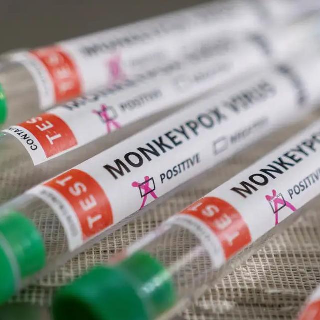 O imunizante brasileiro ganhou maior projeção depois que a mpox foi declarada pela OMS emergência em saúde pública de importância internacional