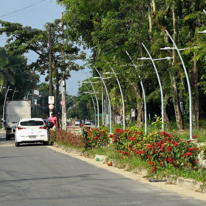 Sete espécies foram selecionadas com base em critérios técnicos, ambientais, paisagísticos e culturais