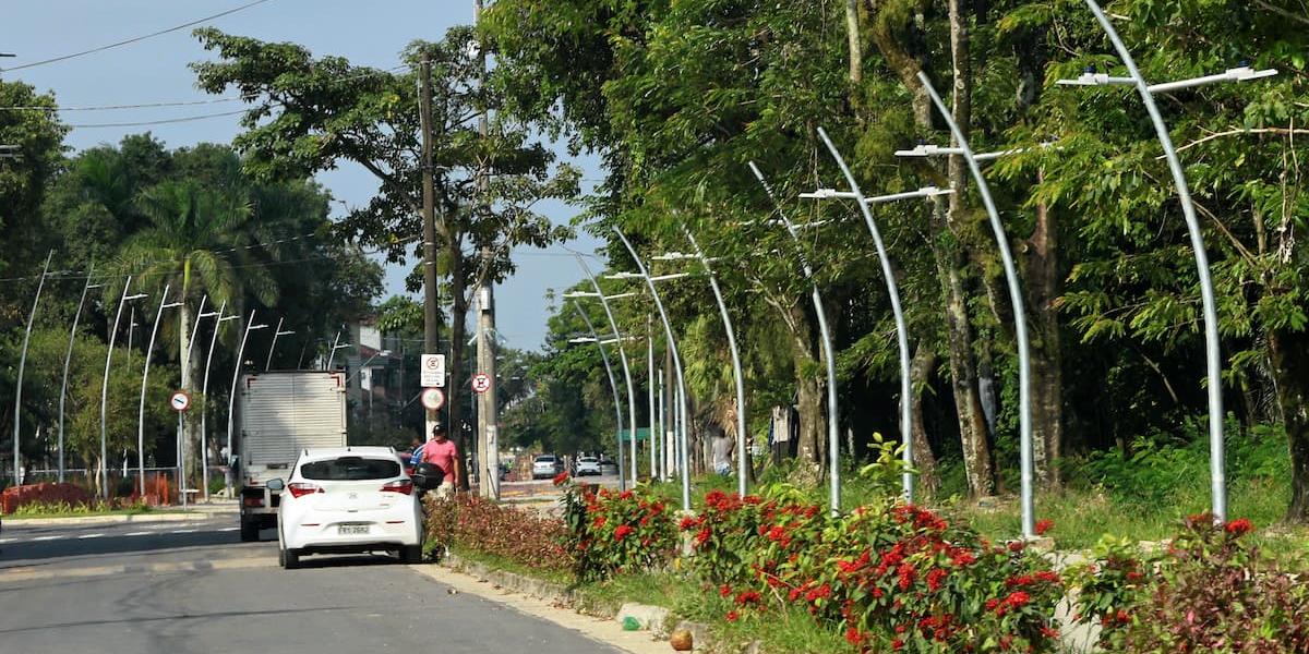 Sete espécies foram selecionadas com base em critérios técnicos, ambientais, paisagísticos e culturais