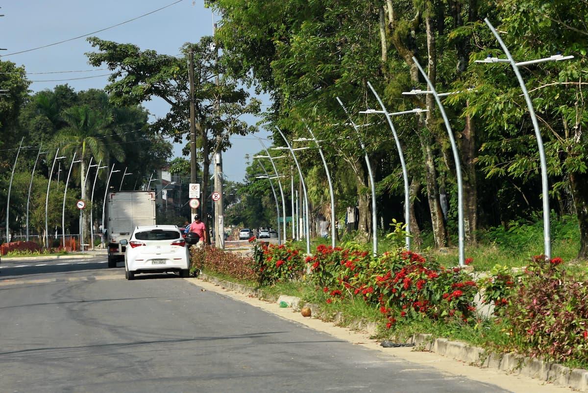 Sete espécies foram selecionadas com base em critérios técnicos, ambientais, paisagísticos e culturais