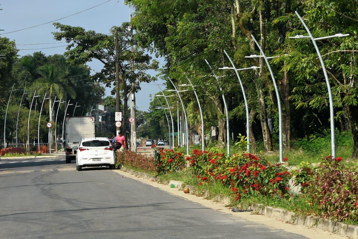 Sete espécies foram selecionadas com base em critérios técnicos, ambientais, paisagísticos e culturais