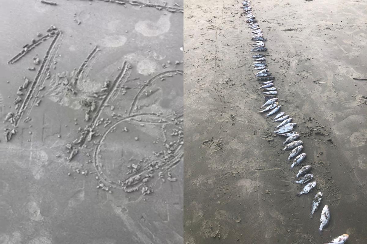 O que mais chamou a atenção de Luize foi o fato de que, ao acessar o site da Companhia Ambiental do Estado de São Paulo (CETESB), a praia estava indicada como própria para o banho