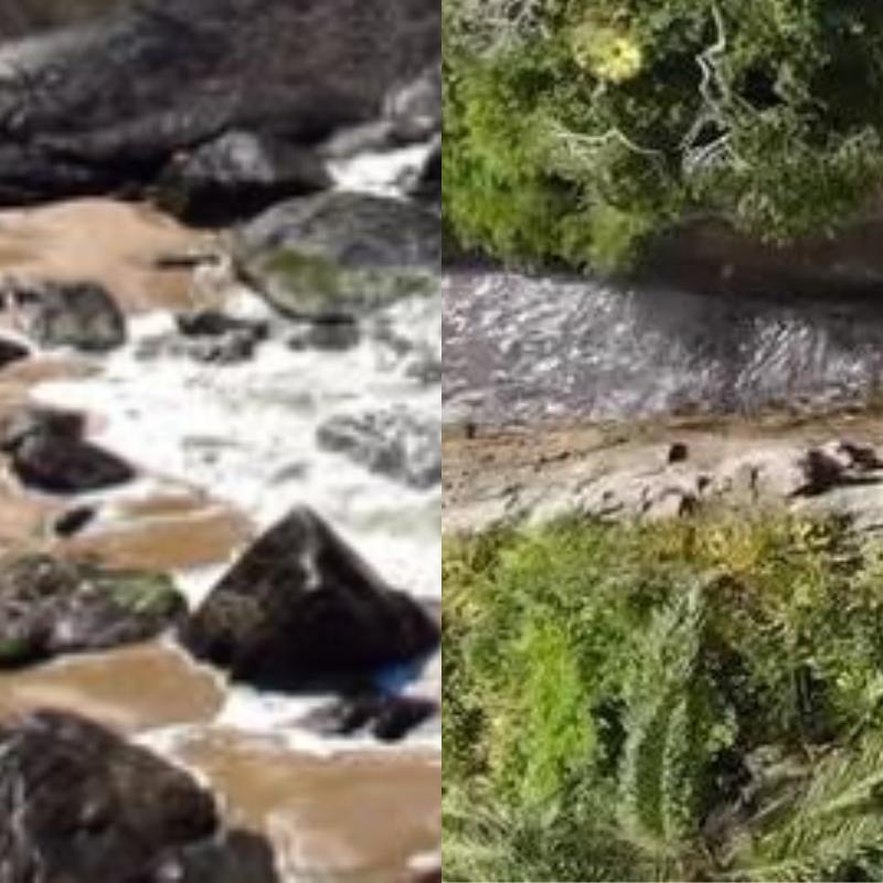 As duas praias brigam  contra a rival espanhola para entrar no ranking