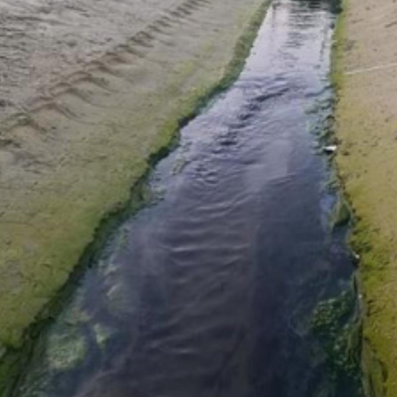 Corrente de água provoca mau cheiro e incomoda quem passa pela Praia do Maracanã, em Praia Grande
